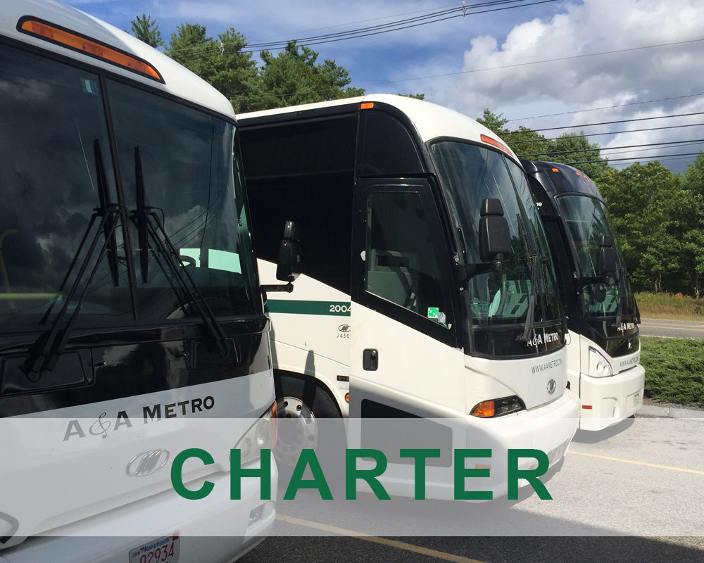 A&A Metro Transportation Charter Bus Services